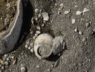 11 million-year-old fossils found in eastern Turkey