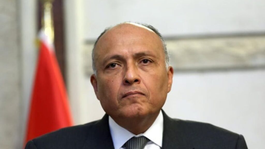 Egypt praises Turkey's signals towards mutual dialogue