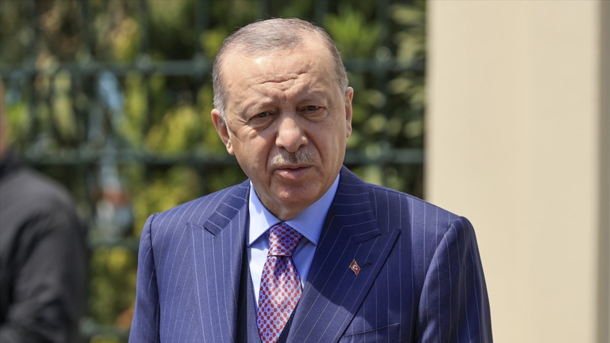 Egyptian people, Turkish nation have unity based on history: Turkish president