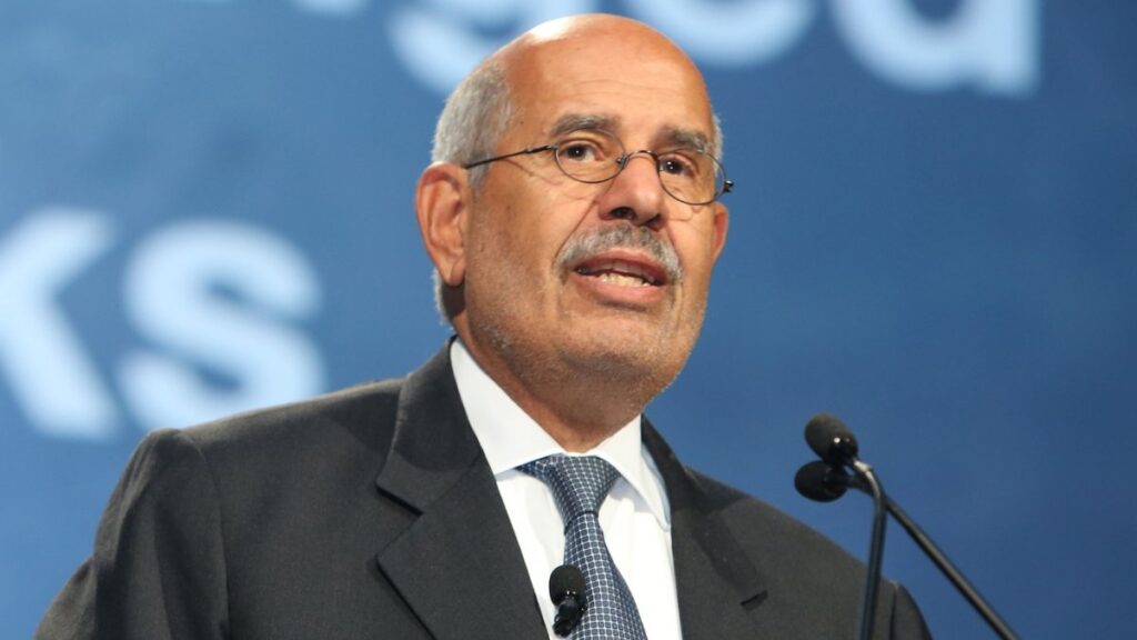 Egypt's ex-vice president urges talks with Turkey, Iran