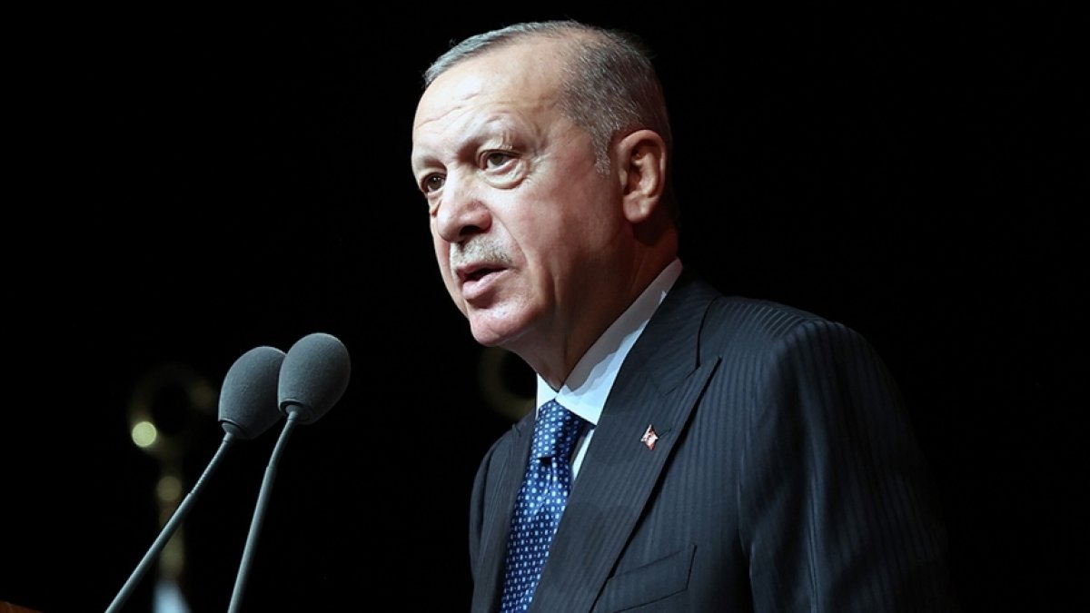 Erdoğan says Turkey bears real burden of migration, refugees issues