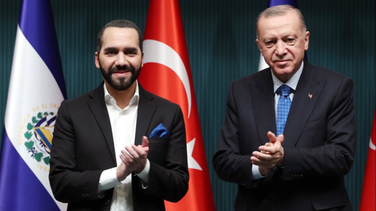 Erdoğan says Turkey wants peace in region, referring to Russia-Ukraine tension