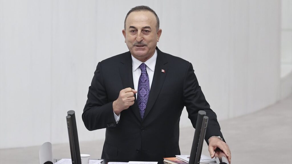 EU sanctions will not alter Turkey's position in East Med: FM Cavusoglu