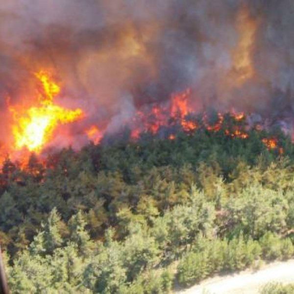 Forest fire erupts in Turkey’s Gallipoli peninsula