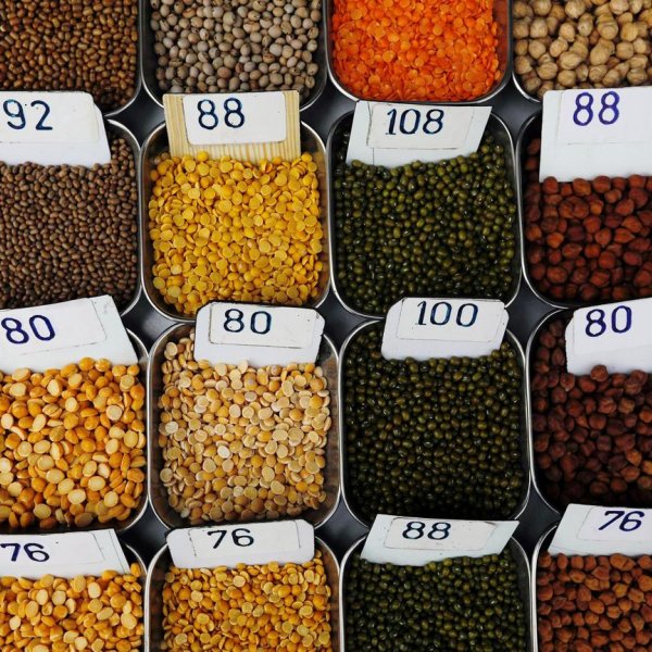 Global food price index rises in July, UN body says