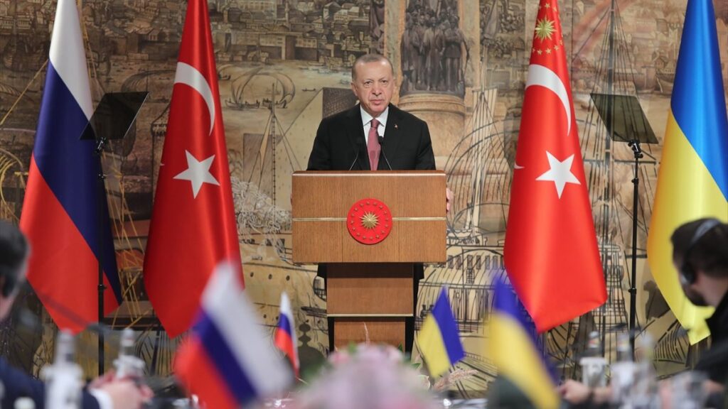 Istanbul talks can pave way for Ukraine-Russia leaders' meeting: Erdoğan