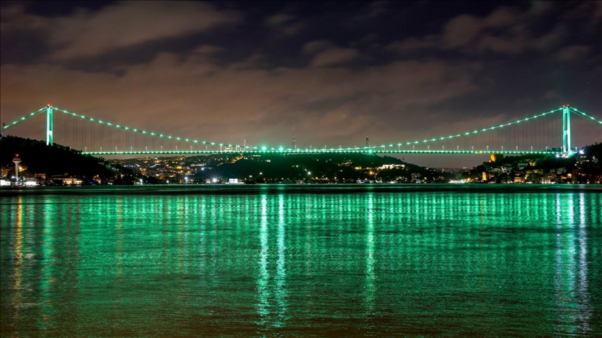 Istanbul's bridges draw attention to scoliosis