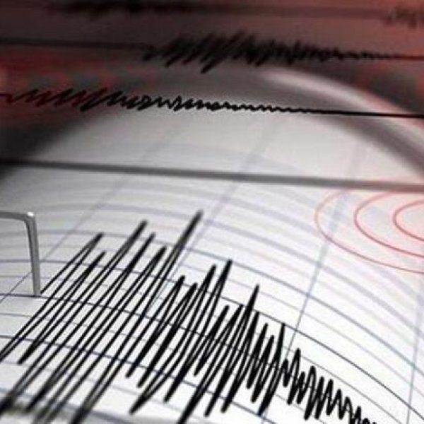 Magnitude 4.6 earthquake hits Turkey's Bitlis