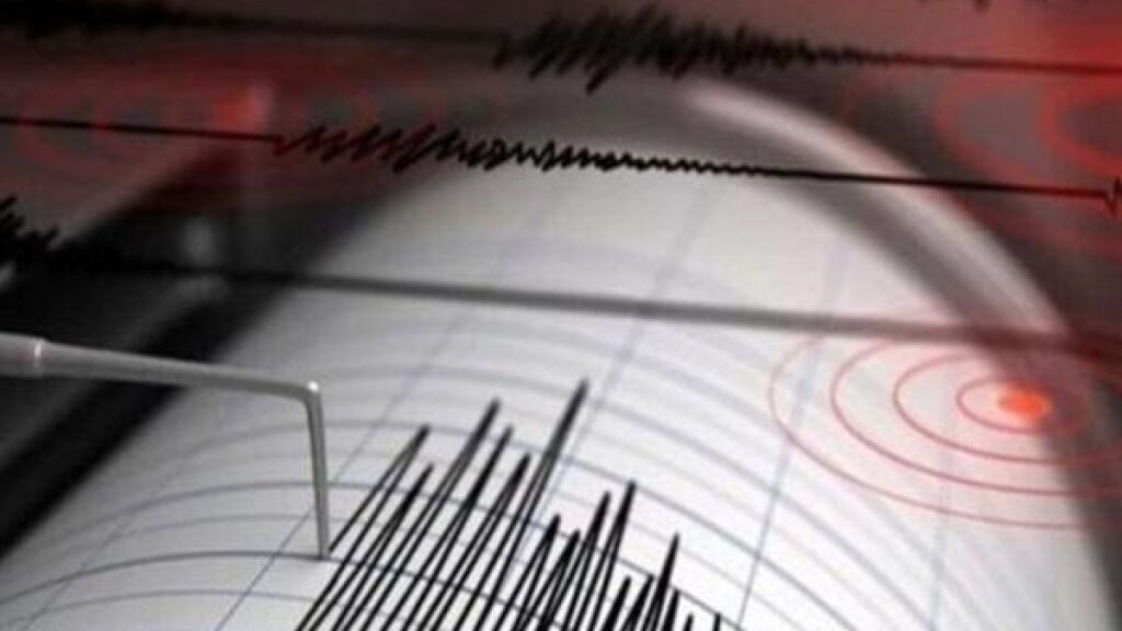 Magnitude 4.8 earthquake shakes southwestern Turkey