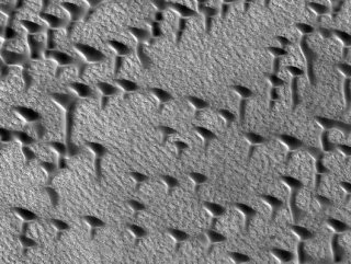 NASA spacecraft captures dunes on Mars