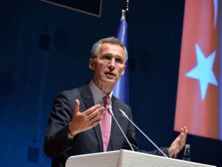 NATO chief urges political solution in Syria