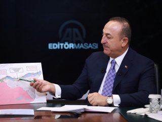 Operation Peace Spring is a milestone, Turkish FM says