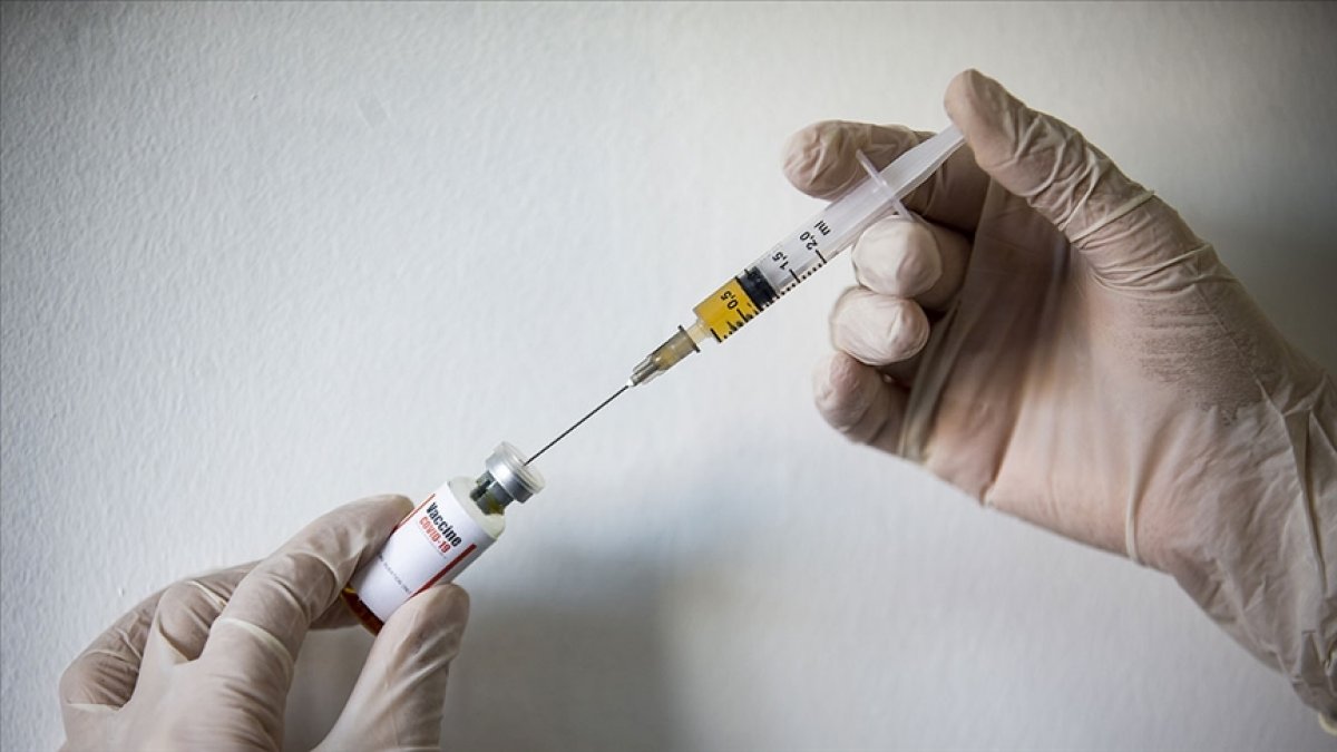 Over 114 million coronavirus vaccine jabs given in Turkey