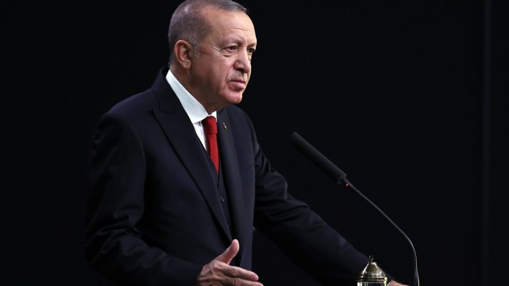 President Erdoğan: Possible EU sanctions do not concern Turkey
