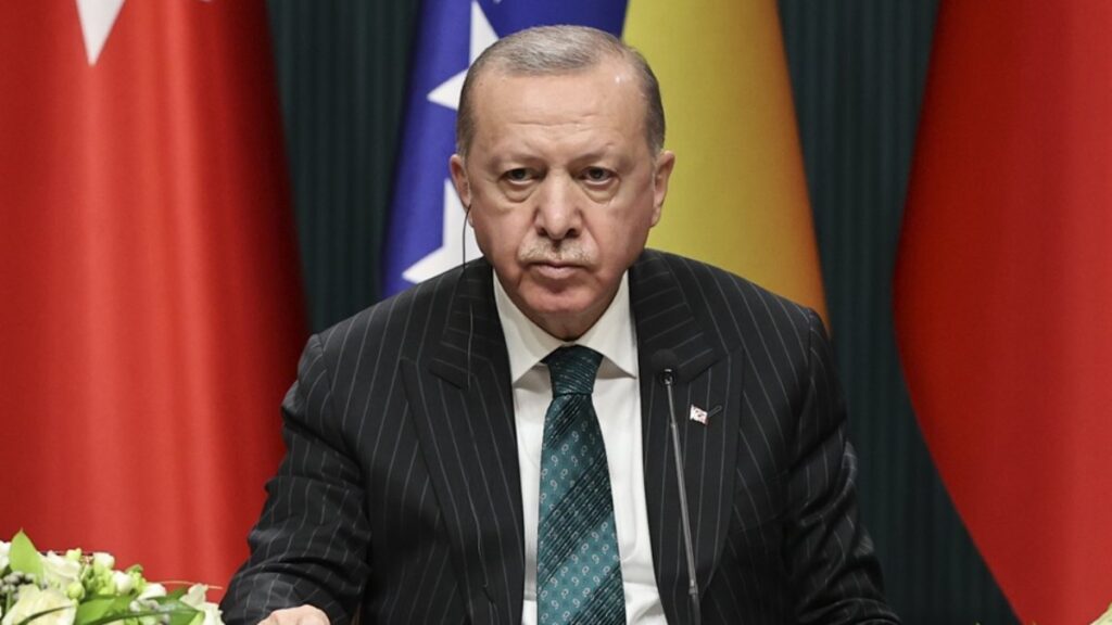 President Erdogan stresses Turkey's firm stance in Eastern Mediterranean