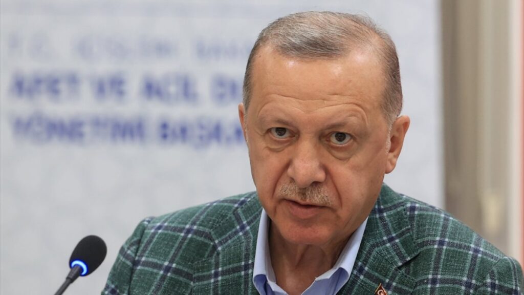 President Erdoğan thanks countries for supporting fight against wildfires