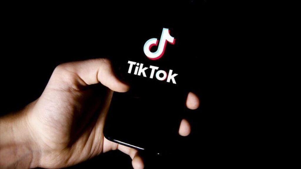 TikTok CEO quits amid US pressure on business
