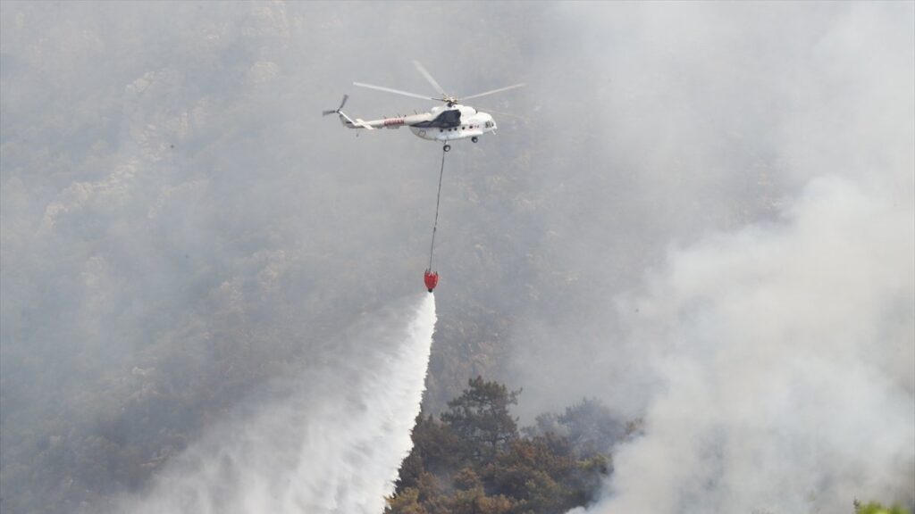 Total of 174 wildfires in Turkey now under control