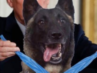 Trump posts faked photo of hero dog getting a medal