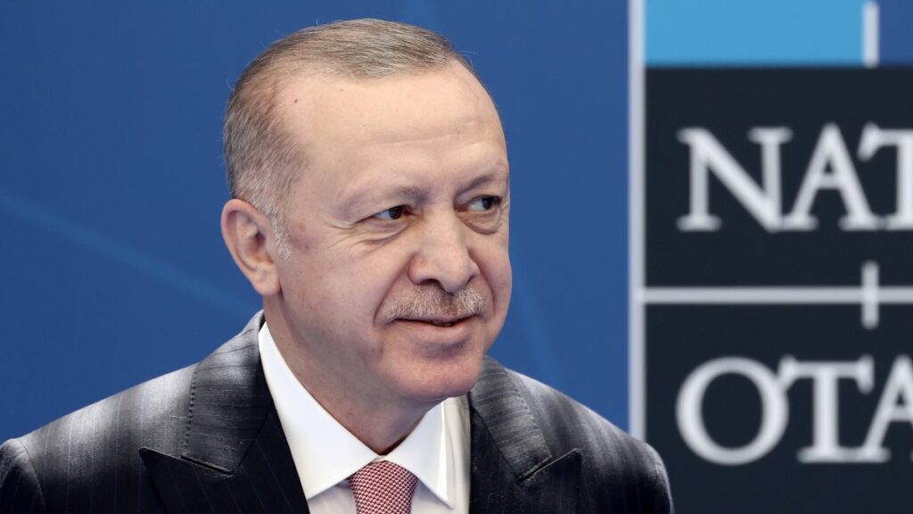 Turkey crucial for security, stability of Trans-Atlantic: Erdoğan