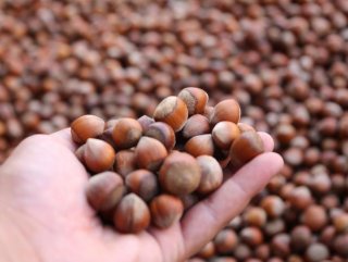 Turkey exports over 90,000 tons of hazelnut in 3 months