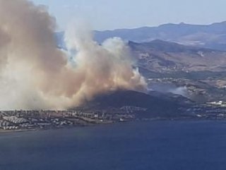 Turkey: Forest fire erupts in İzmir province