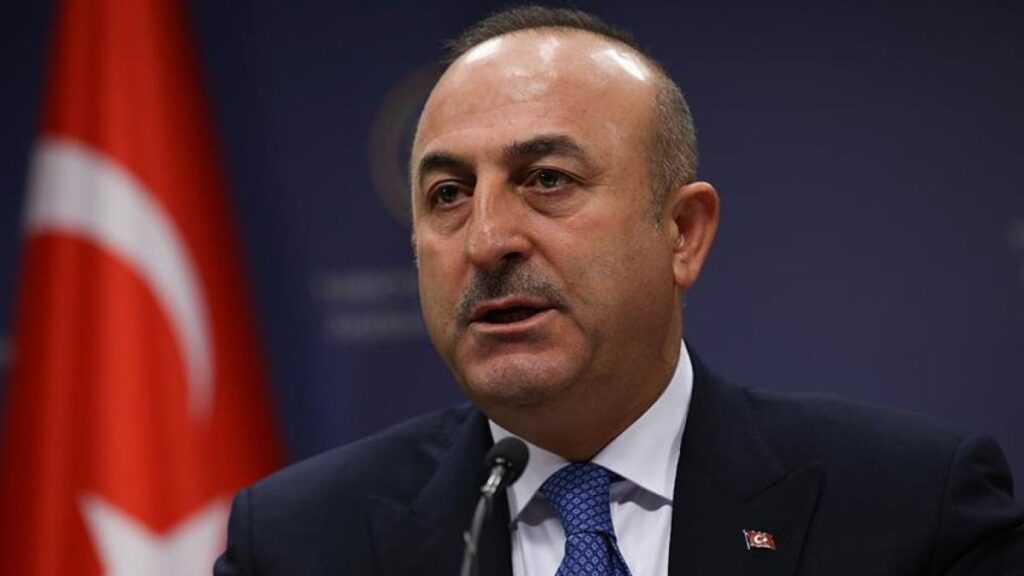 Turkey supporting vulnerable countries on international platforms: FM Cavusoglu