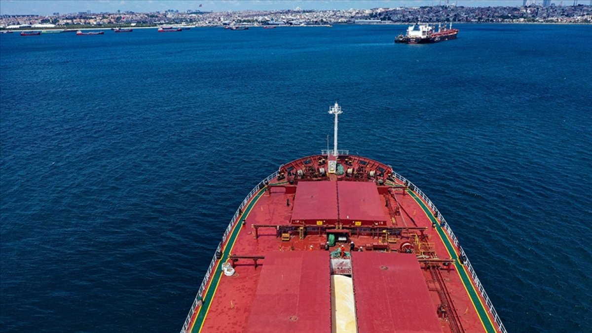 Turkey, Ukraine, UN agree to move 16 vessels under Black Sea grain deal