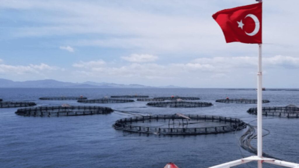 Turkey's aquaculture exports exceed $1 billion in 2020