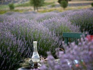 Turkey’s lavender paradise: Kuyucak