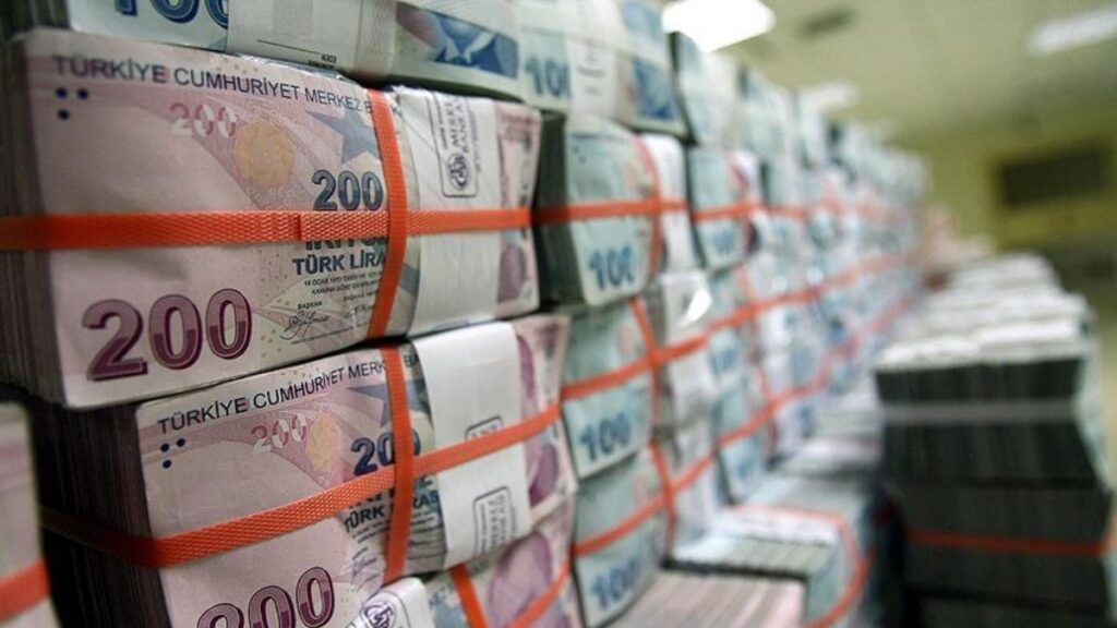 Turkey's steps spur profit jumps in 2020 for interest-free banks