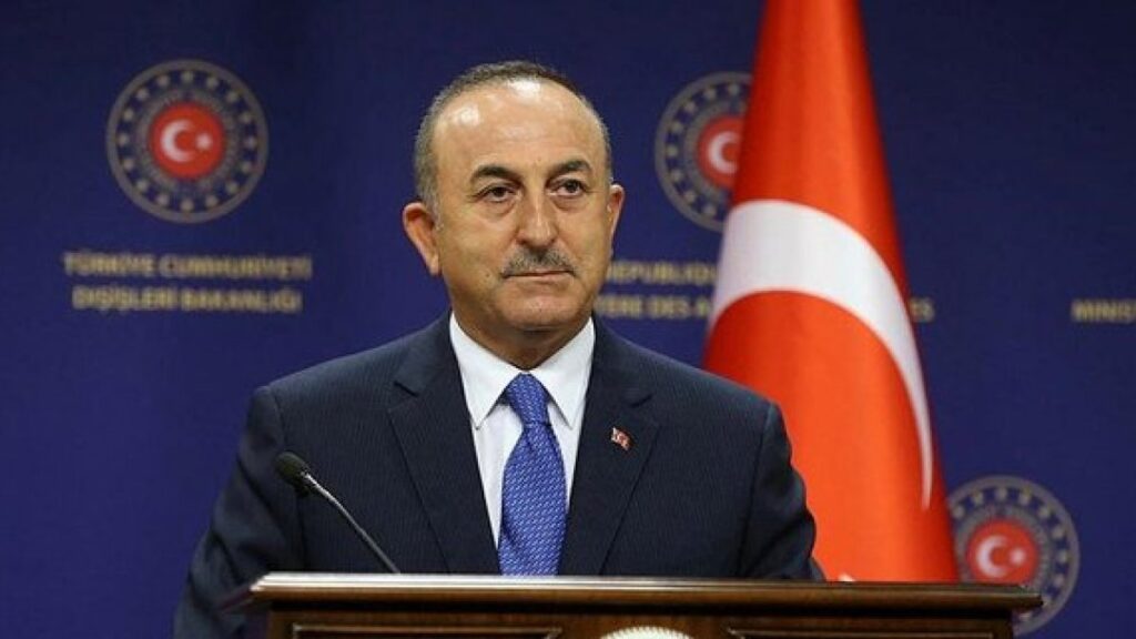 Turkish FM discusses trade relations with his Moldovan counterpart