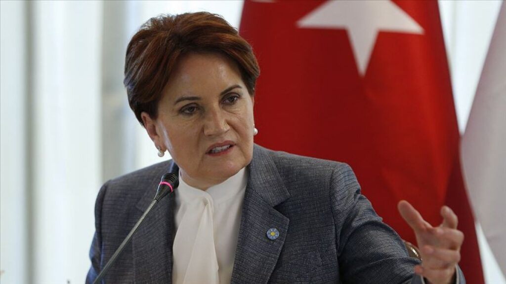 Turkish opposition leader slams illegal search of Turkish ship