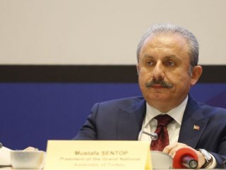 Turkish parliament speaker to visit Bosnia and North Macedonia