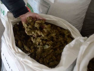 Turkish police seize 294 kg of cannabis in Diyarbakır