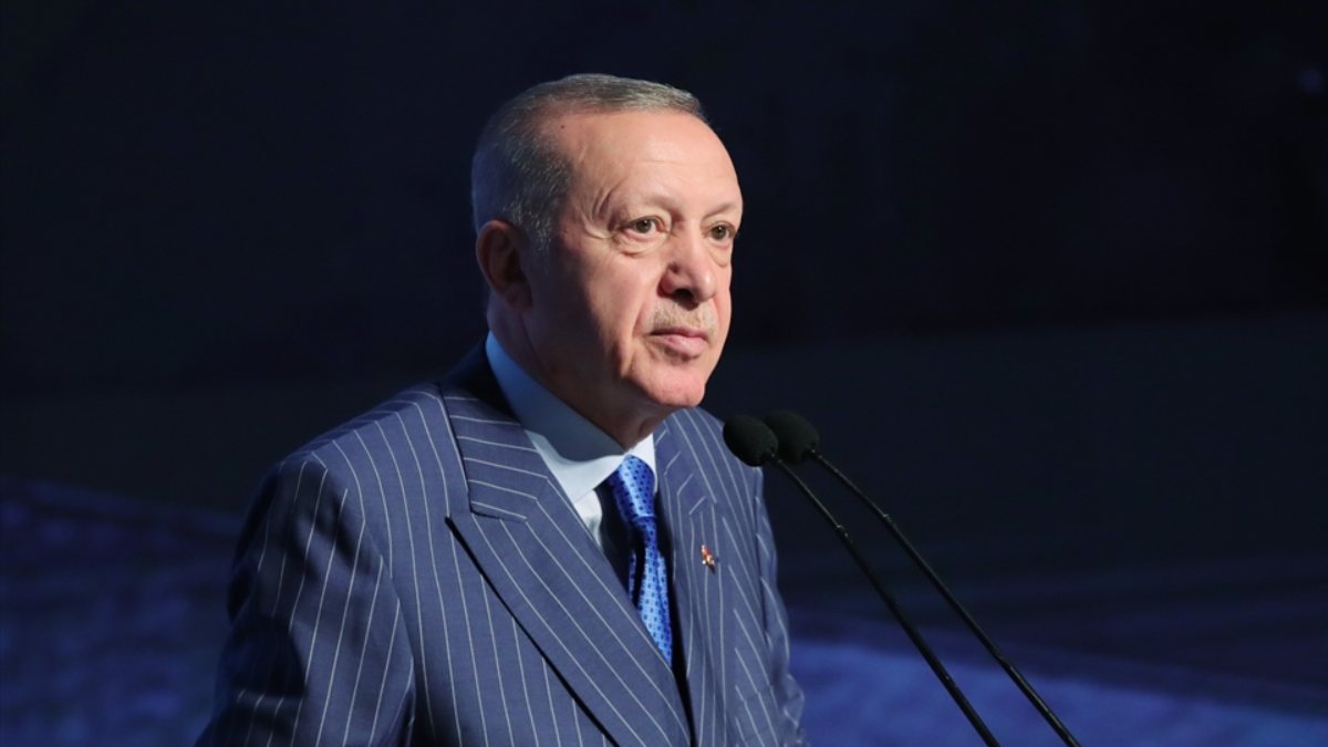 Turkish president says they will never force Syrians out of country