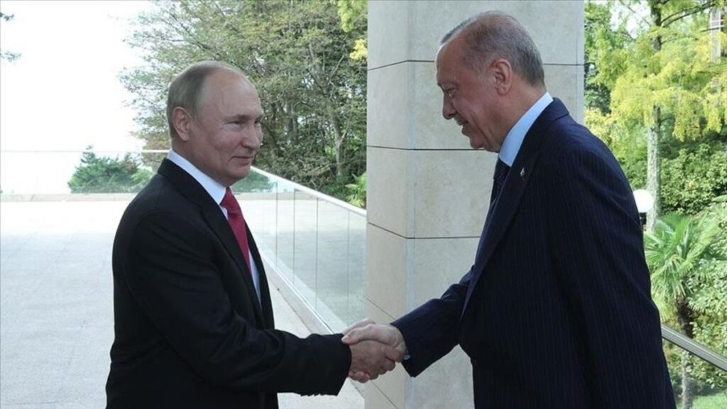Turkish, Russian presidents discuss regional issues, bilateral ties: Kremlin