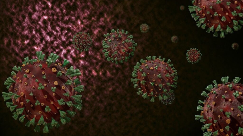 Turkish scientist: Mutated virus doesn't undo vaccines' effects