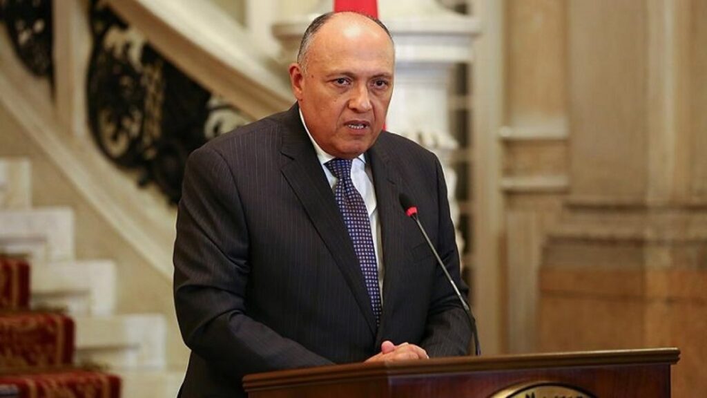 Turkish-Egyptian relations to progress gradually: Egypt’s FM