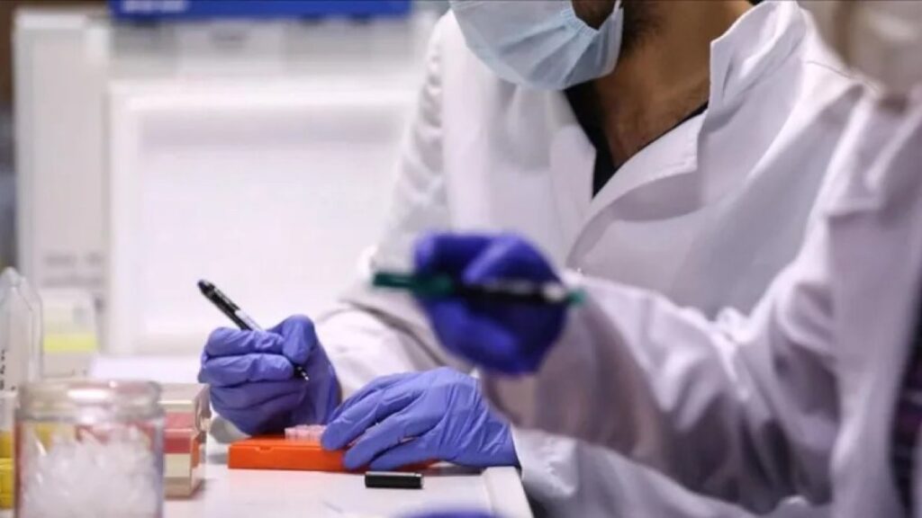 Turkish-made coronavirus vaccine studies heading to next phase