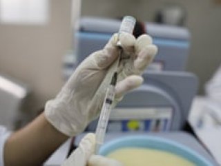 World Health Organization announced vaccine trials begin