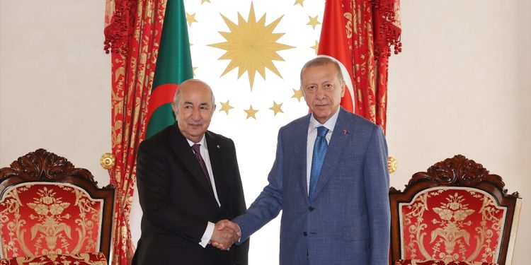Türkiye's President Recep Tayyip Erdoğan shakes hand with his Algerian counterpart Abdelmadjid Tebboune during a meeting in Istanbul.