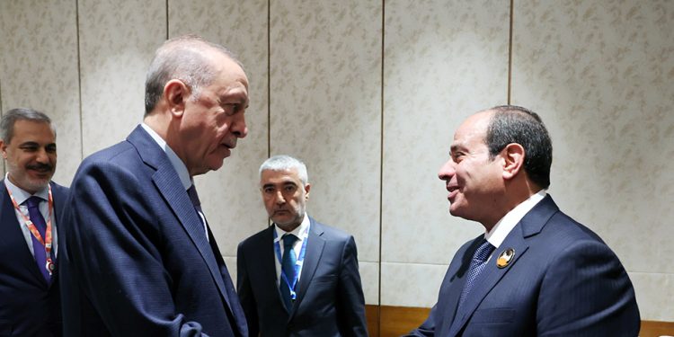 Recep Tayyip Erdoğan and Abdel Fattah al-Sisi